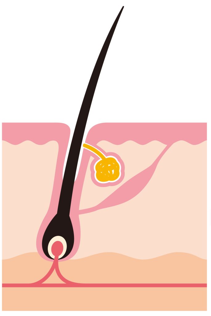 落ち着いてきたら月一回