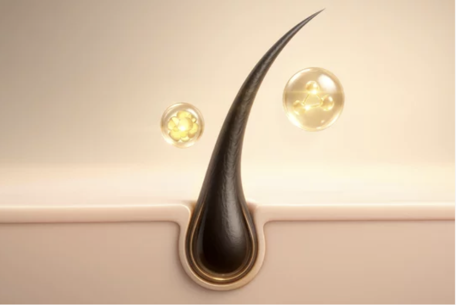 エクソソームフルコース