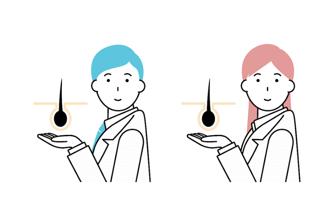 男性と女性の皮脂分泌の違い